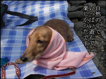 夏休みの思ひ出（とろろ偏）-5コマ