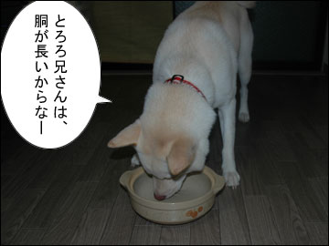 猫鍋・犬鍋-6コマ