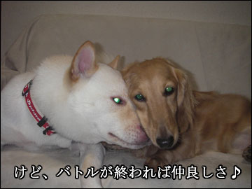 兄妹バトル-5コマ