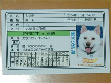愛犬免許証（実物）-2コマ