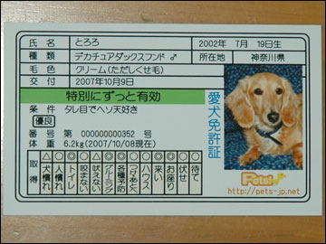 愛犬免許証（実物）-6コマ
