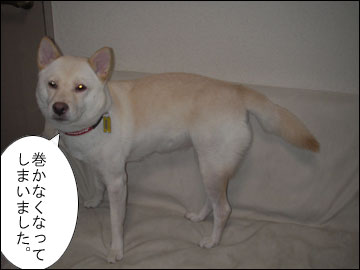 白い犬はオモシロイ-3コマ