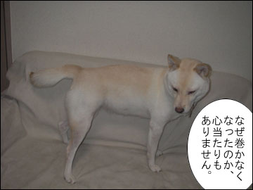 白い犬はオモシロイ-4コマ