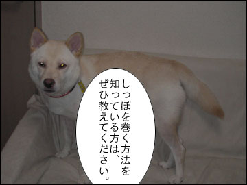 白い犬はオモシロイ-5コマ