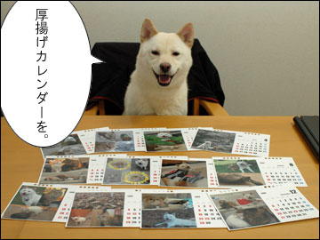 厚揚げカレンダー2009-2コマ