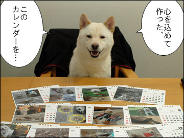 厚揚げカレンダー2009-4コマ