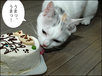 えのきちゃんの誕生日当日-5コマ