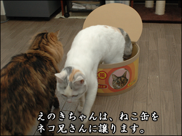ねこ缶とネコ兄さん-3コマ