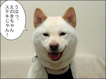 白い犬-4コマ