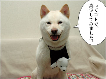 白い犬-5コマ